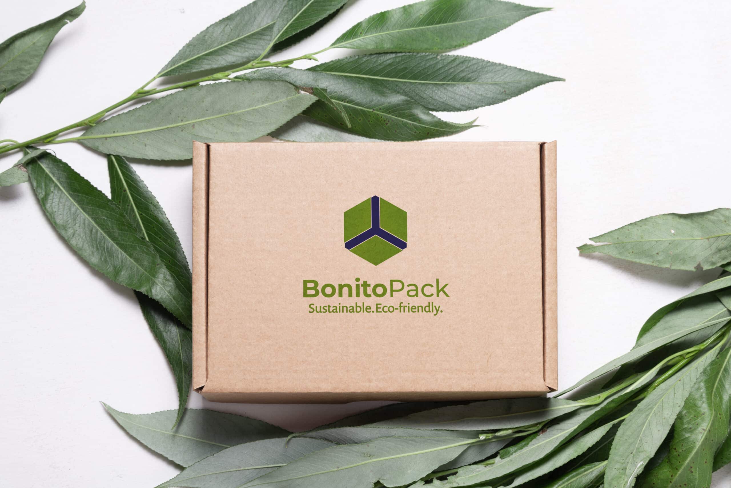 緑の葉を背景にした環境に優しいパッケージ。