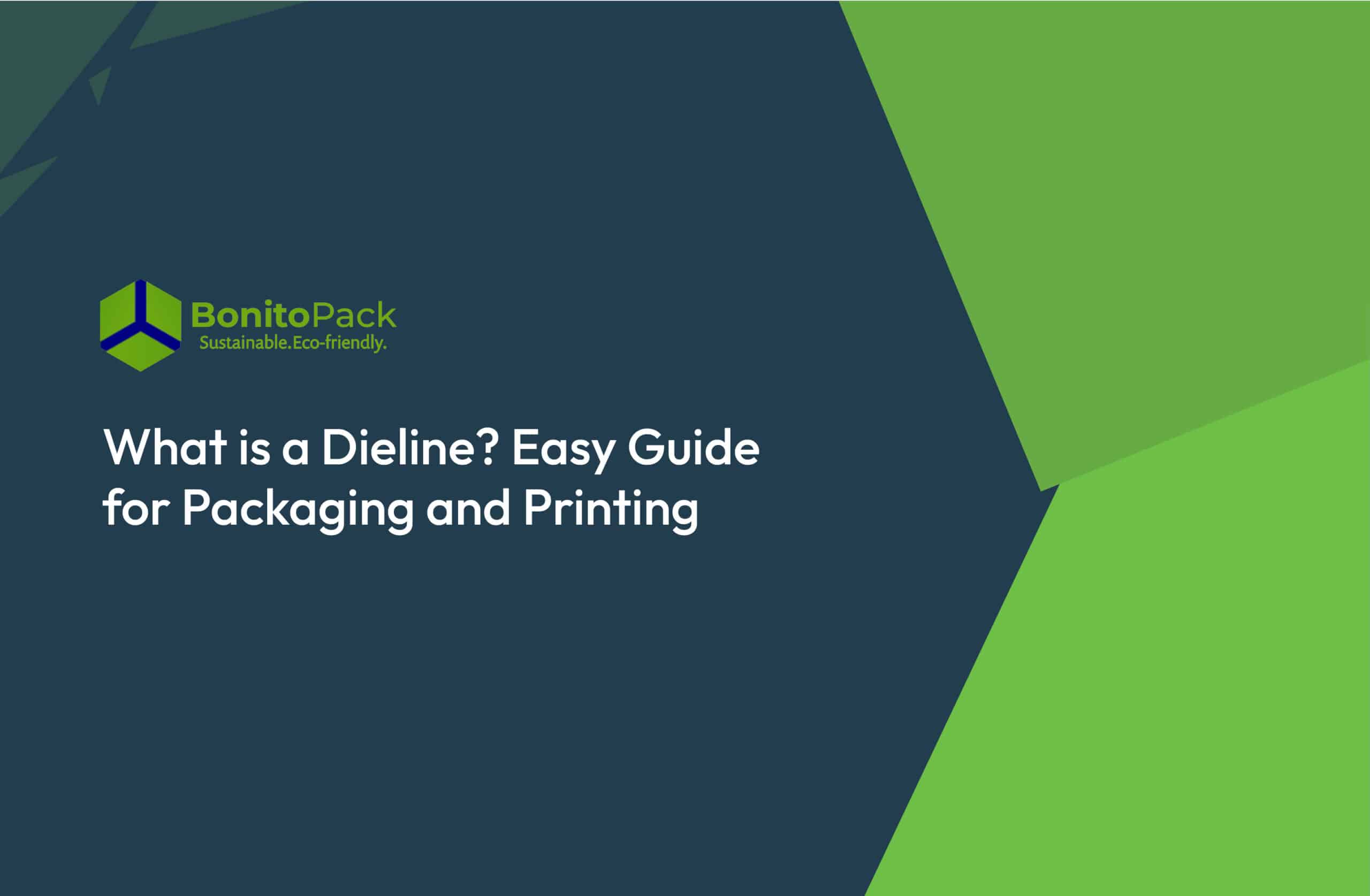 What is a Dieline? Easy Guide for Packaging and Printing